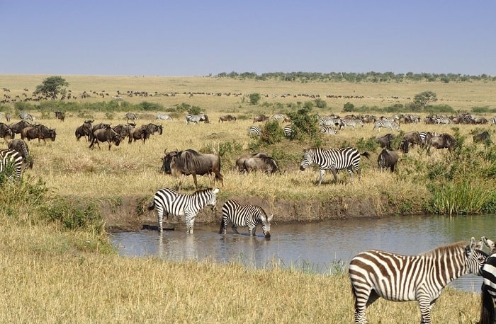 Masai-Mara-National-Reserve