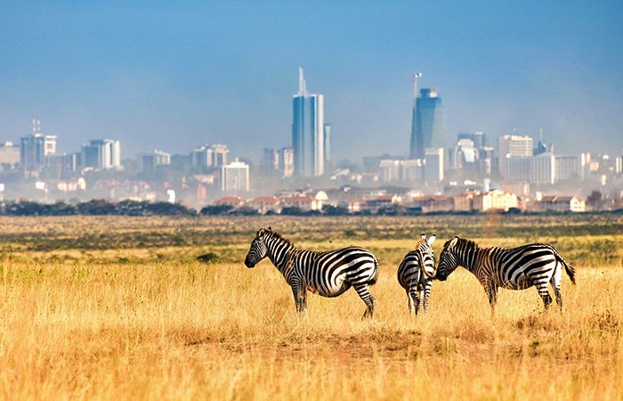 Nairobi National Park_