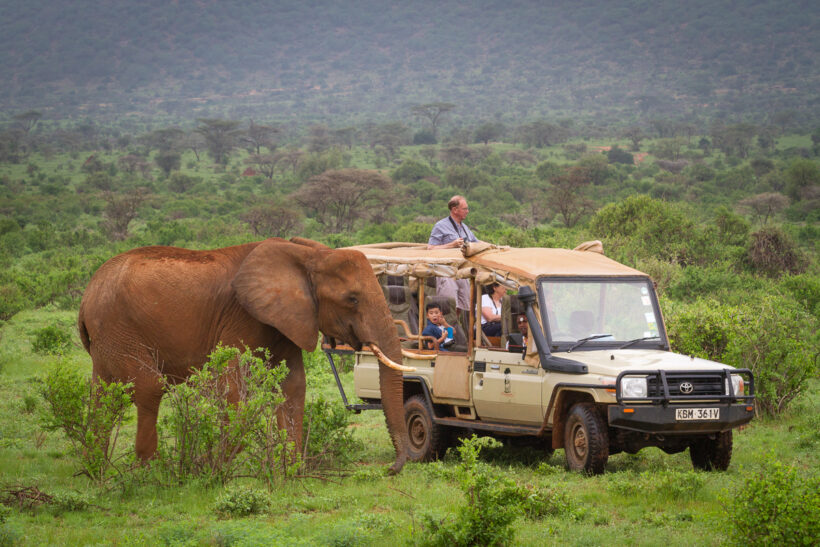 Samburu National Reserve Hotels
