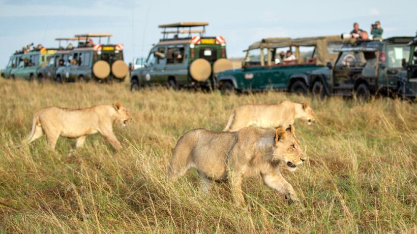 masai mara national reserve_